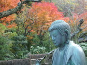 ②東慶寺の紅葉２