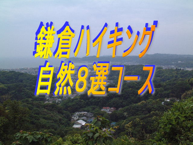 鎌倉の自然を満喫する８散策ルートを紹介